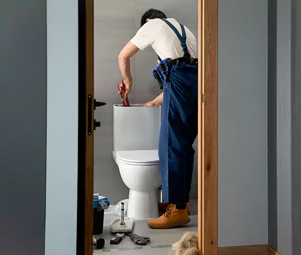 Professional Plumbers for Toilet Bowl Replacement in Massillon, OH: Schedule Affordable Toilet Replacement Services With Us