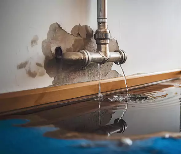 Professional Water Damage Restoration Experts in Massillon, OH — Fast, Reliable & Certified